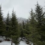 IMG-20250806-WA0014